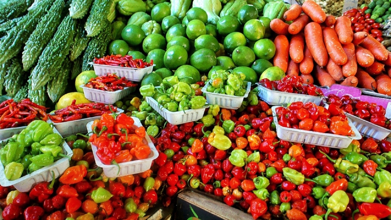 primeur-HYERES-min_farmers-market-1329008